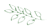 iconimg